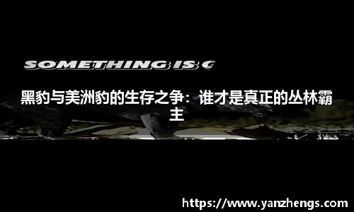 黑豹与美洲豹的生存之争：谁才是真正的丛林霸主