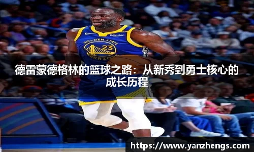 IM电竞官网
