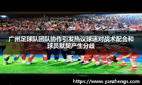 IM电竞官网