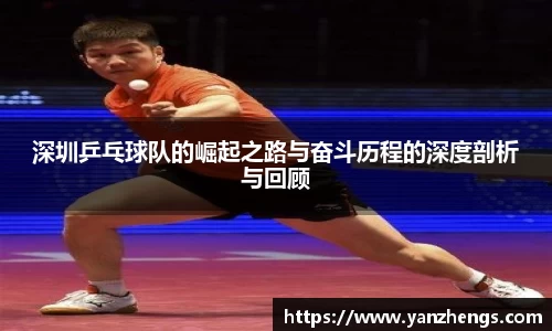 深圳乒乓球队的崛起之路与奋斗历程的深度剖析与回顾